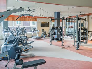 State-of-the-art fitness with torque fitness x-lab spider